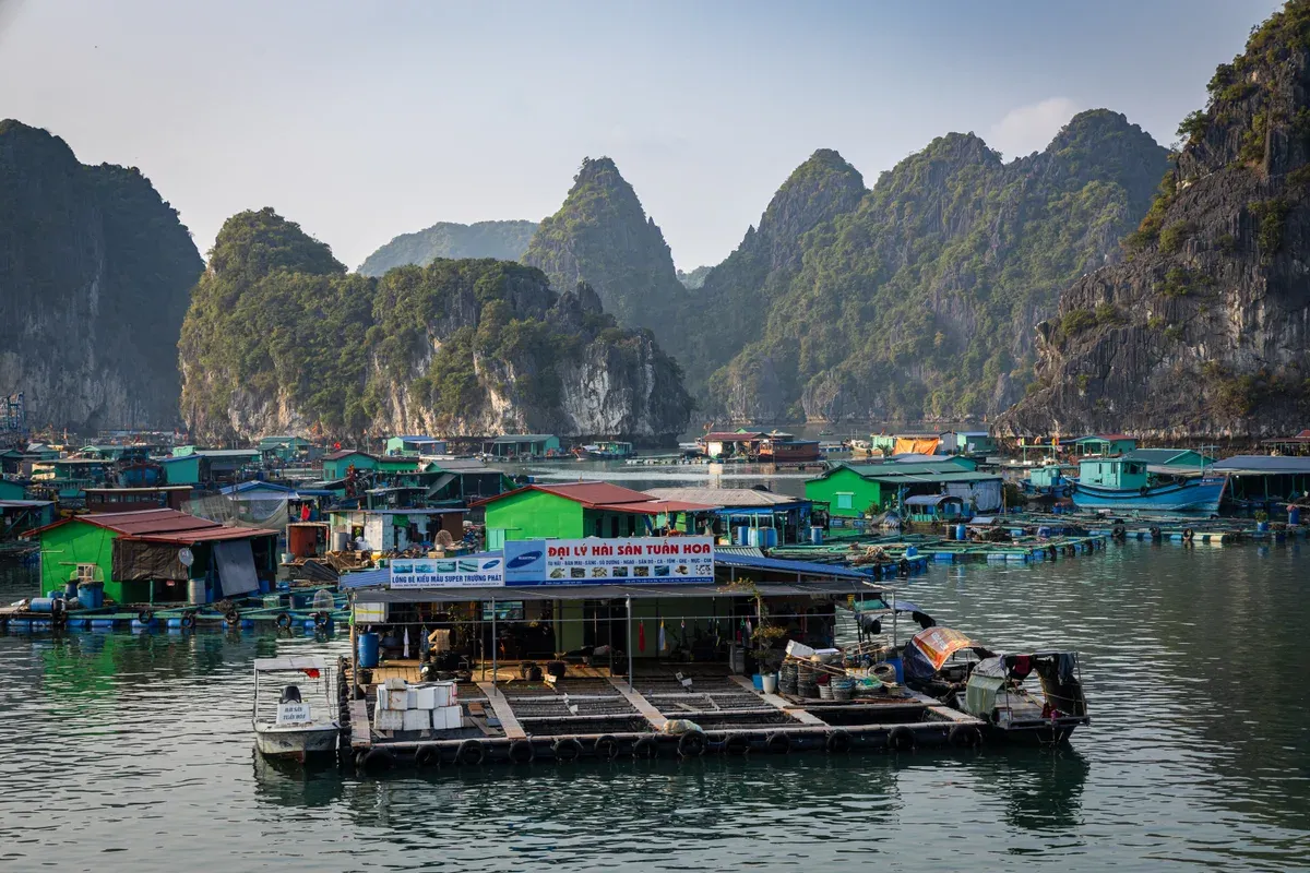 Floating houses and fish farms at Cai Beo floating village in Lan Ha Bay, Halong Bay cruise