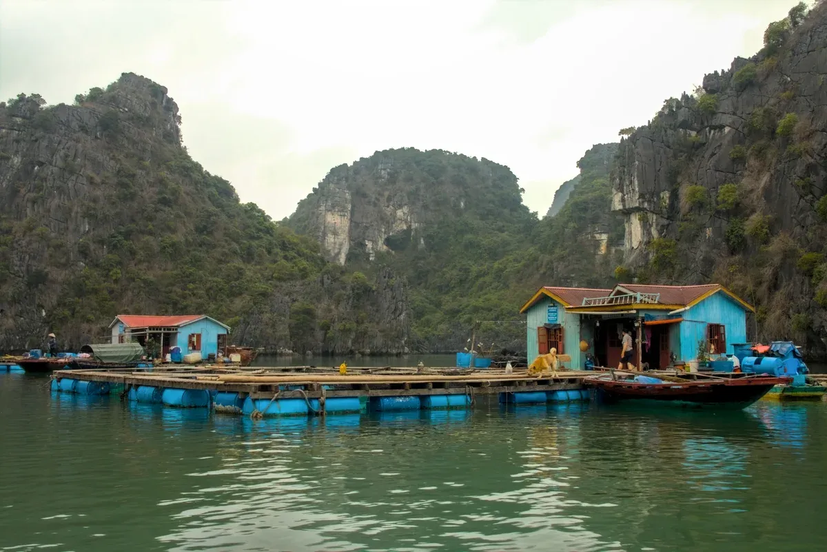Blue floating houses on a pontoon in a fishing village in Ha Long Bay, Halong Bay cruise
